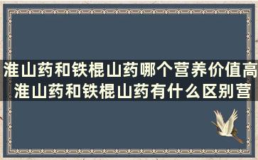 淮山药和铁棍山药哪个营养价值高 淮山药和铁棍山药有什么区别营养